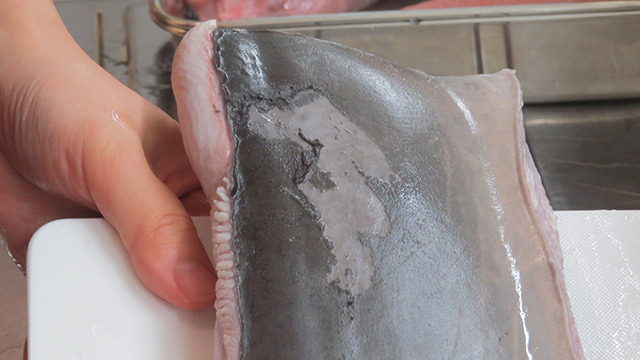 ちなみに、ザラザラした鮫肌は熱湯をかけると砂粒のように剥がれ落ちる。