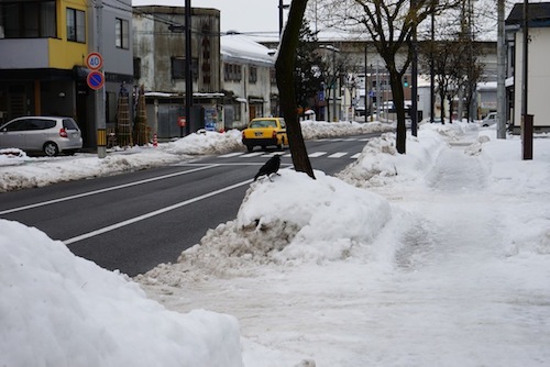 雪はすごいがたいていの車道はきっちり除雪されている。