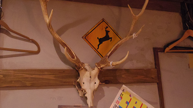 鹿の骨の剥製と「動物注意」の標識