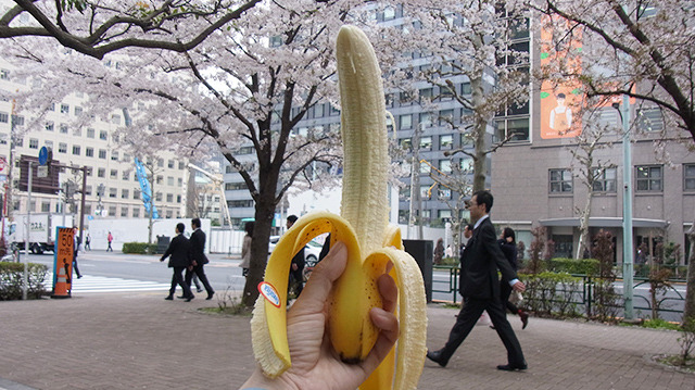 バナナだけのランチは初めて。