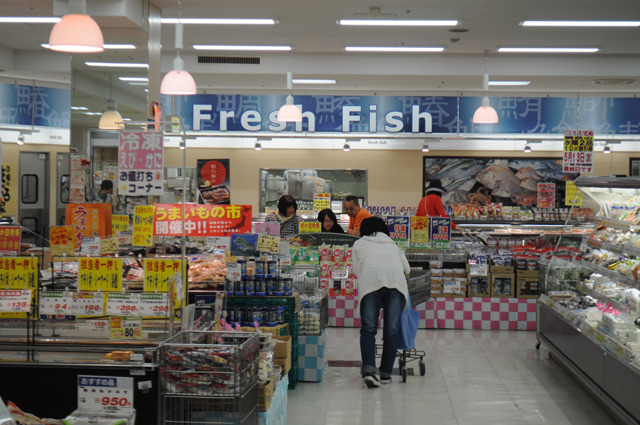 Fresh Fish これ以上ないフレッシュさをもった金魚がいるのではないか。