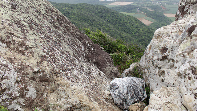厳しい登山道を登る石
