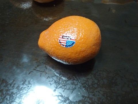 どことなくレモンっぽい形のミネオラオレンジ。