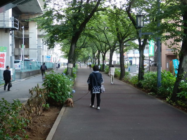 花と緑の散歩道