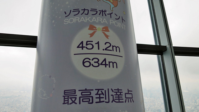 富士山頂の8分の1まで（エレベーターで）昇ったぜ！