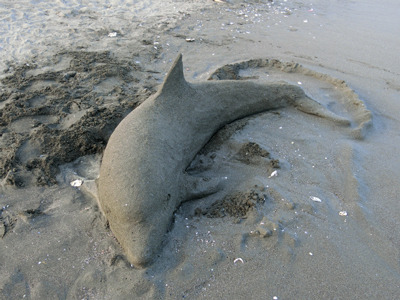 砂浜で見つけた砂で作られたイルカ。遠くから見ると本物に見えて焦った。	