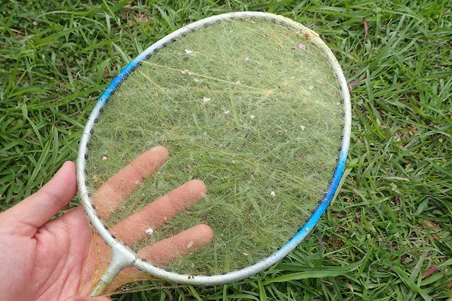 クモの糸で作った「クモの糸ラケット」