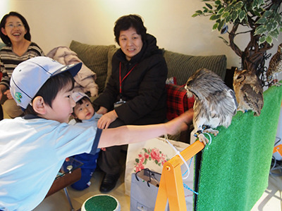 Pet the owls like the little boy is doing here. They're fluffy, warm, and smooth!