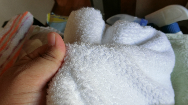 タオルはぬくぬくに温まった。乾燥機から出したときくらい触り心地が良い。