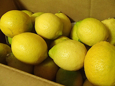 無農薬栽培の国産レモンを入手。通販で3kg。残りは果実酒でも作るか。