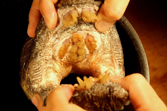 It's upper jaw is stuffed with molar-like teeth.