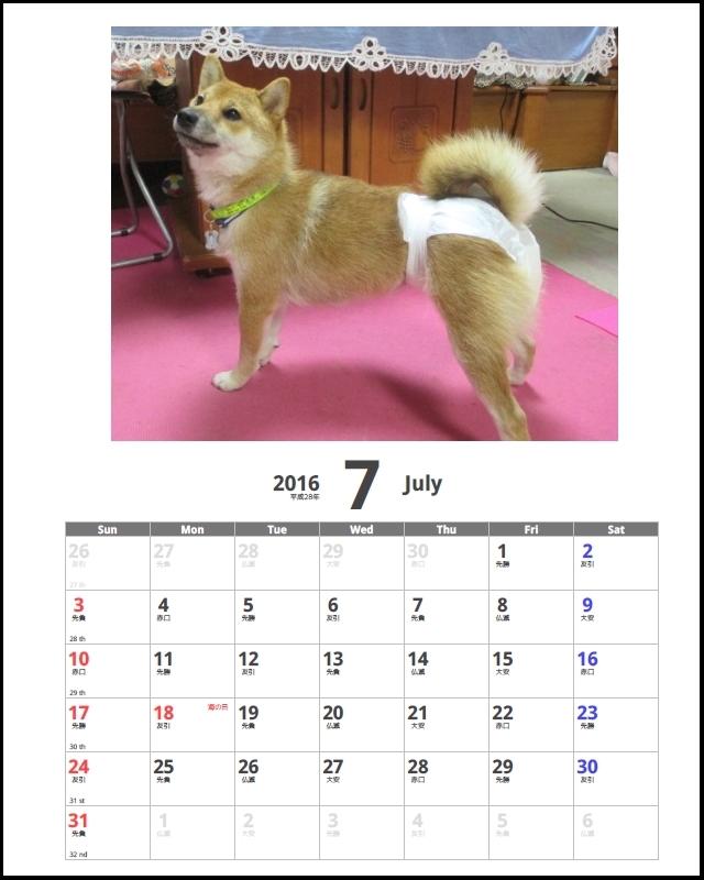 柴犬のカレンダー１２カ月分を１日で無理やり作ってみた デイリーポータルz