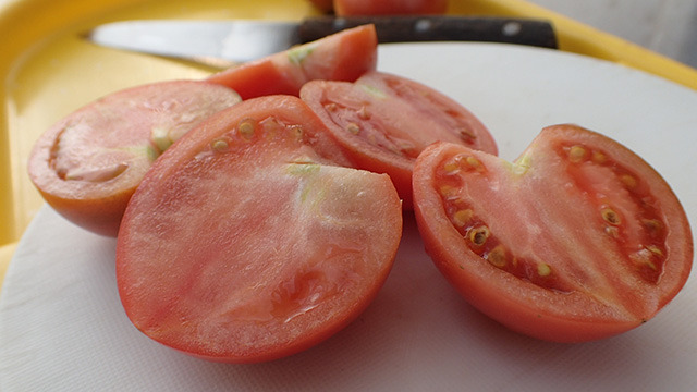 ハウスで切ってもらったもぎたてトマトは悔しいくらい美味しかったです。