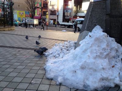 駅前では食べる除雪が行われていた。