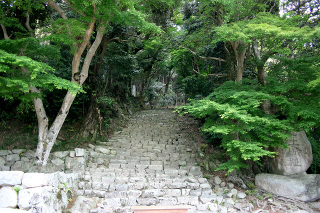 同じく、織田信長の居城であった滋賀県の安土城跡も特別史跡