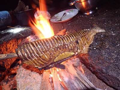 ペーシュ・カショーロを豪快に焼いて食う。身は脂と味の薄い青魚のようだが、皮が抜群に美味い。