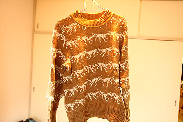 The sweater with a clam pattern.