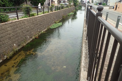名古屋市内を流れる小川。