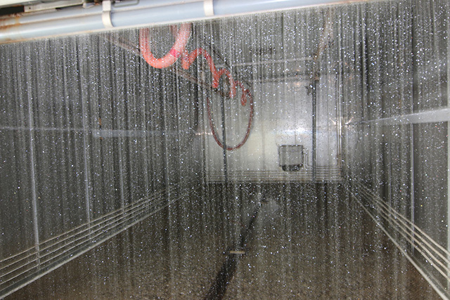 栽培室の中は、ゲリラ豪雨みたいな勢いで水をザバザバとまく。ここはエチレンガス無し。
