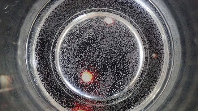 グラスの底に気泡が。