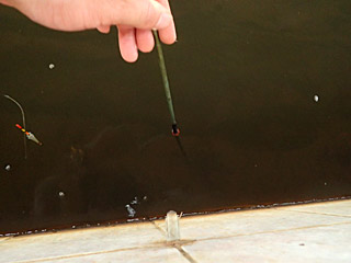 竿に輪ゴムが止めてあるので、それで竿尻から底まで測り、ウキの位置を合わせるという方法もある。