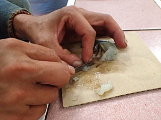 カミソリでエサのエビを小さく切る。