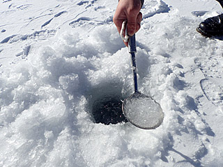 穴の中の氷をザルですくうのもやってみたかったアトラクション。無限に湧きでる天カスみたいだ。