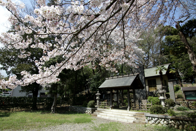 その隣にあった戦没者慰霊碑にも桜が植えられていた