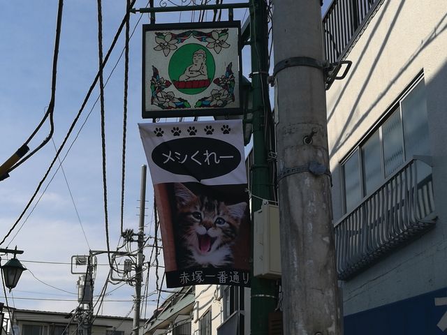 ただ一点だけ変わった点として、大仏の看板の下にネコのポスターを張り出したということだ。これはごく最近やり始めた。「ネコはバズる」ということを商店街の誰かが知ったのかもしれない。