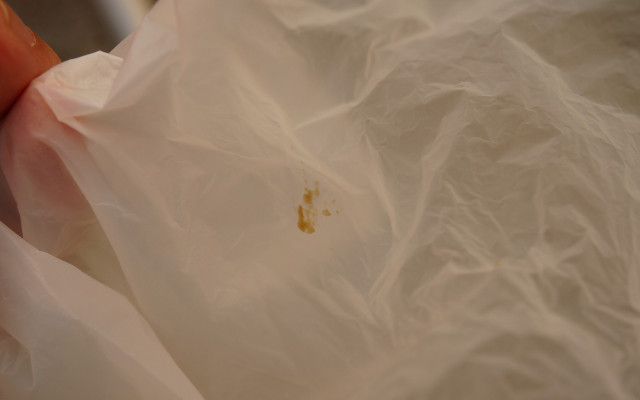 袋の中に茶色い液体がついていた。そうそう、こういう唾液（？）がつくのだ。噛まれると。