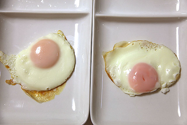 右が旨味賛卵の目玉焼き。違いはわからない。