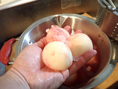 卵には筋子のように透明な膜がまとわりついているので、塩水と酒で洗いながら剥がして分ける。