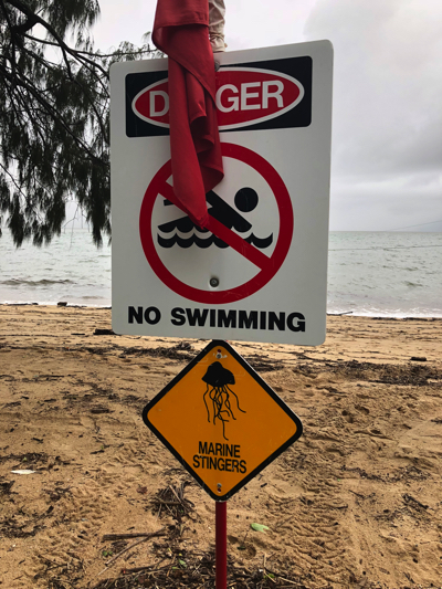 ケアンズ近郊の海辺。意外と海水浴客の姿が少ないと思ったら、日本とは比較にならないほど毒性の強いクラゲがいるそうで遊泳禁止のビーチが多い。