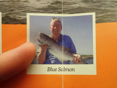 現地のフィッシングツアーのパンフレットではたしかにサーモン扱い。今回僕が釣ったのはブルーサーモンと呼ばれるものらしい。