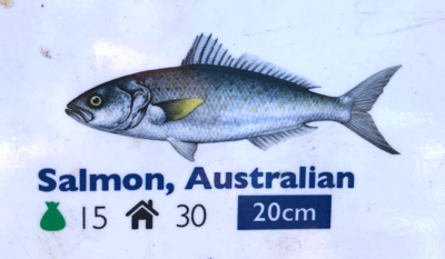 たとえばオーストラリアには他にも『オーストラリアンサーモン』なる魚もいるが、これまたサケとは無関係。日本では『マルスズキ』というこれまたややこしい名で扱われることがある。