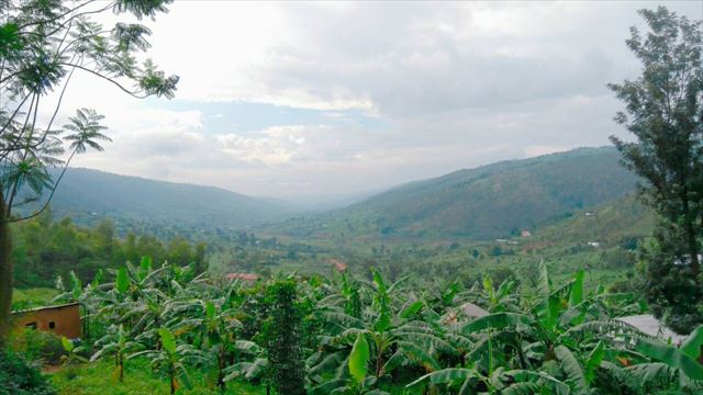 ルワンダは起伏が激しいため「千の丘の国（Land of a thousand hills）」と呼ばれています。