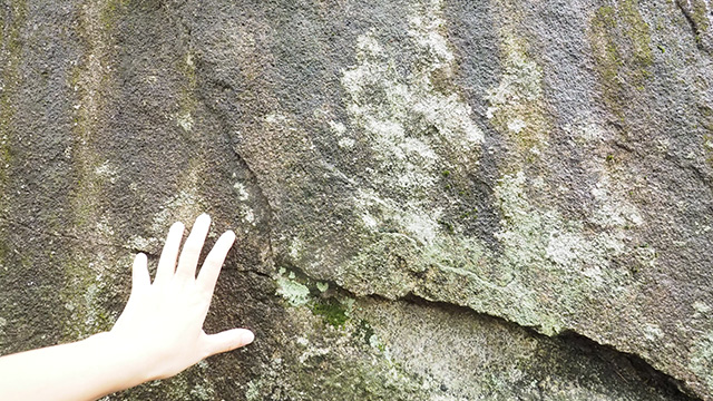 右側の白い部分がおそらく鬼の手形。「岩に鬼の手形」で岩手。