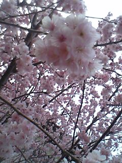 ���ɖ��J�I