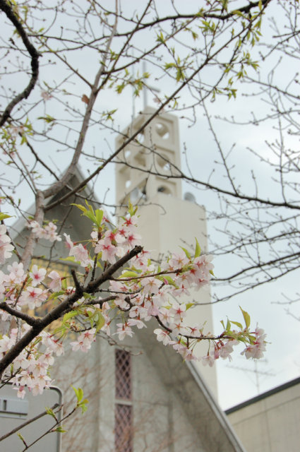 �C�̑�����