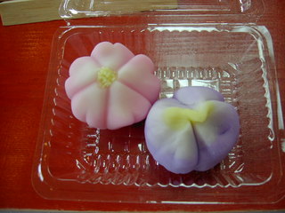 ����̘a�َq