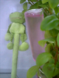 �J�G�����ڊo�߂���Ă��񂾁I