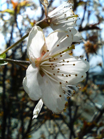 �I��肩���c