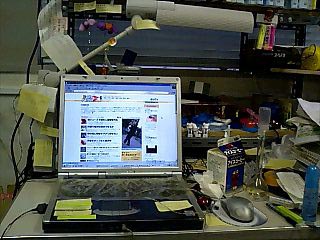 ����̍��ׂ�DPZ