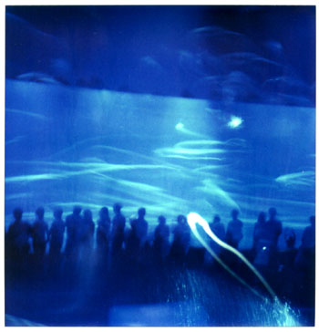 �����̂܂��됅��