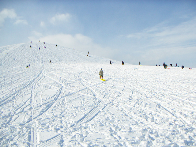 ���G���R �`�C�T���m�O�`�̈��`