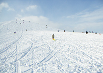 ���G���R �`�C�T���m�O�`�̈��`