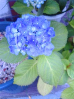 ��ւƂ͂����܂���