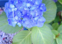 ��ւƂ͂����܂���