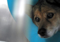 ����[���������B