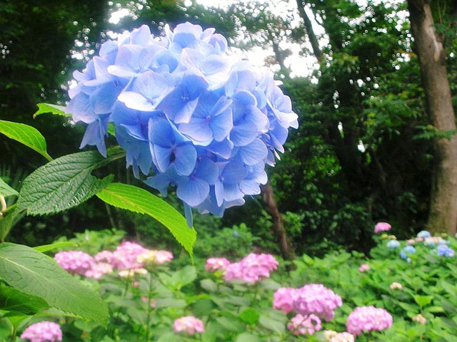 �U���ƌ�����